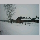 birkenau-t